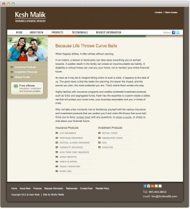 Kesh Malik website copy
